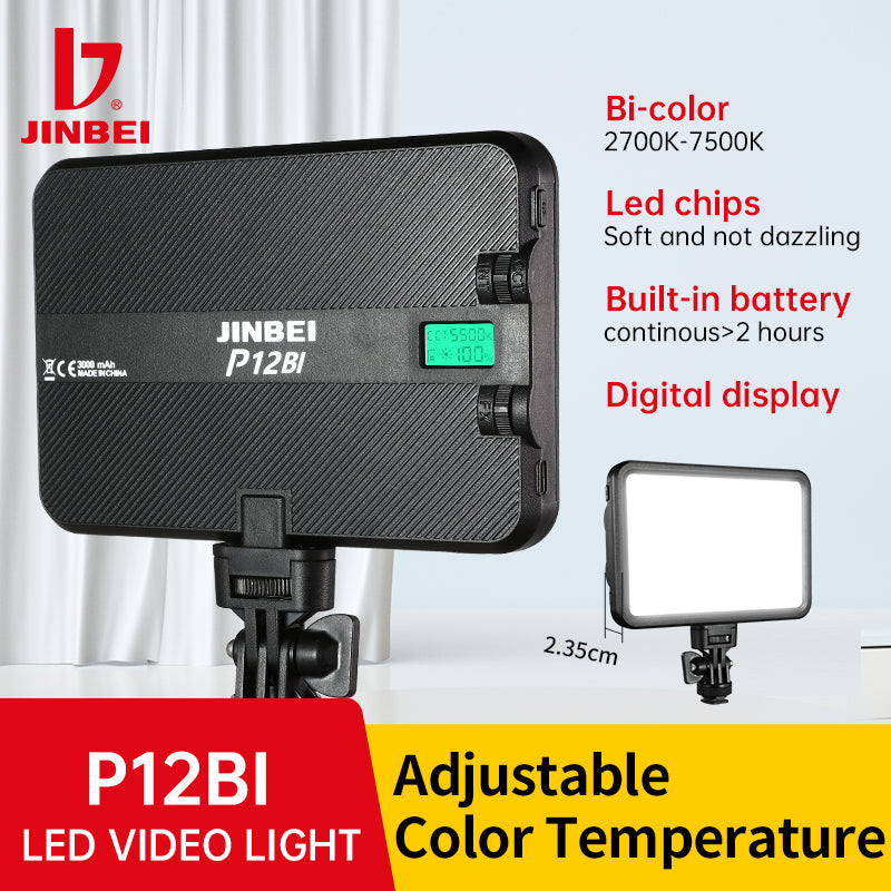 P12BI LED Panel Light