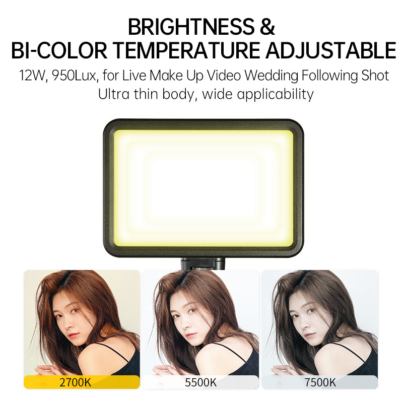 P12BI LED Panel Light