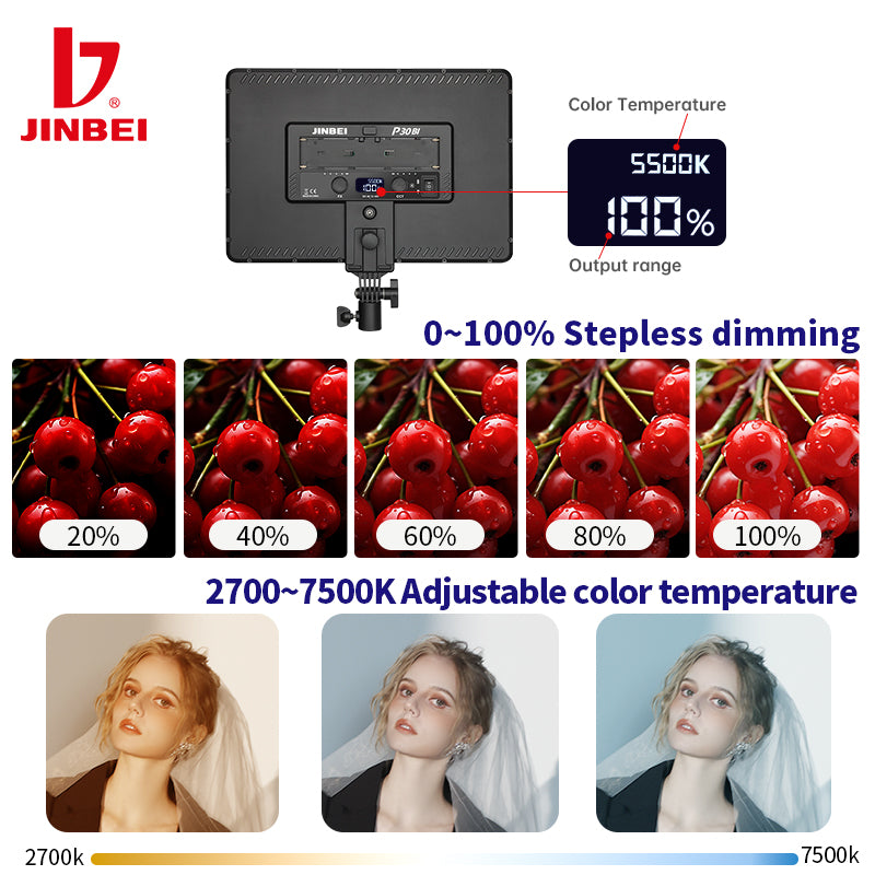 P30BI LED Panel Light