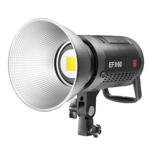 EFII-60 LED Light