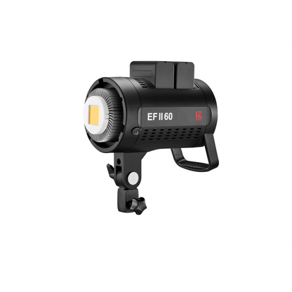 EFII-60 LED Light