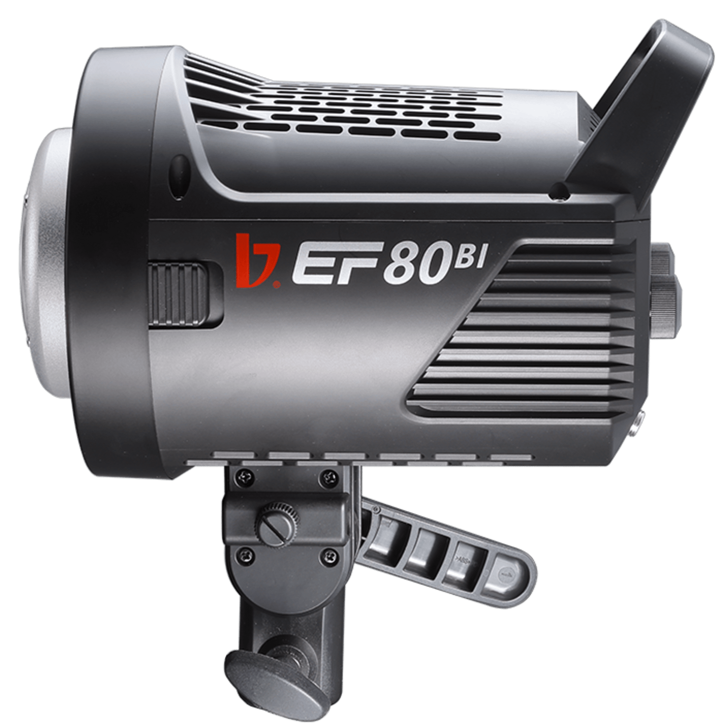 EF-80BI LED Portable Video Light