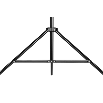 EQ-220 Aluminum Light Stand