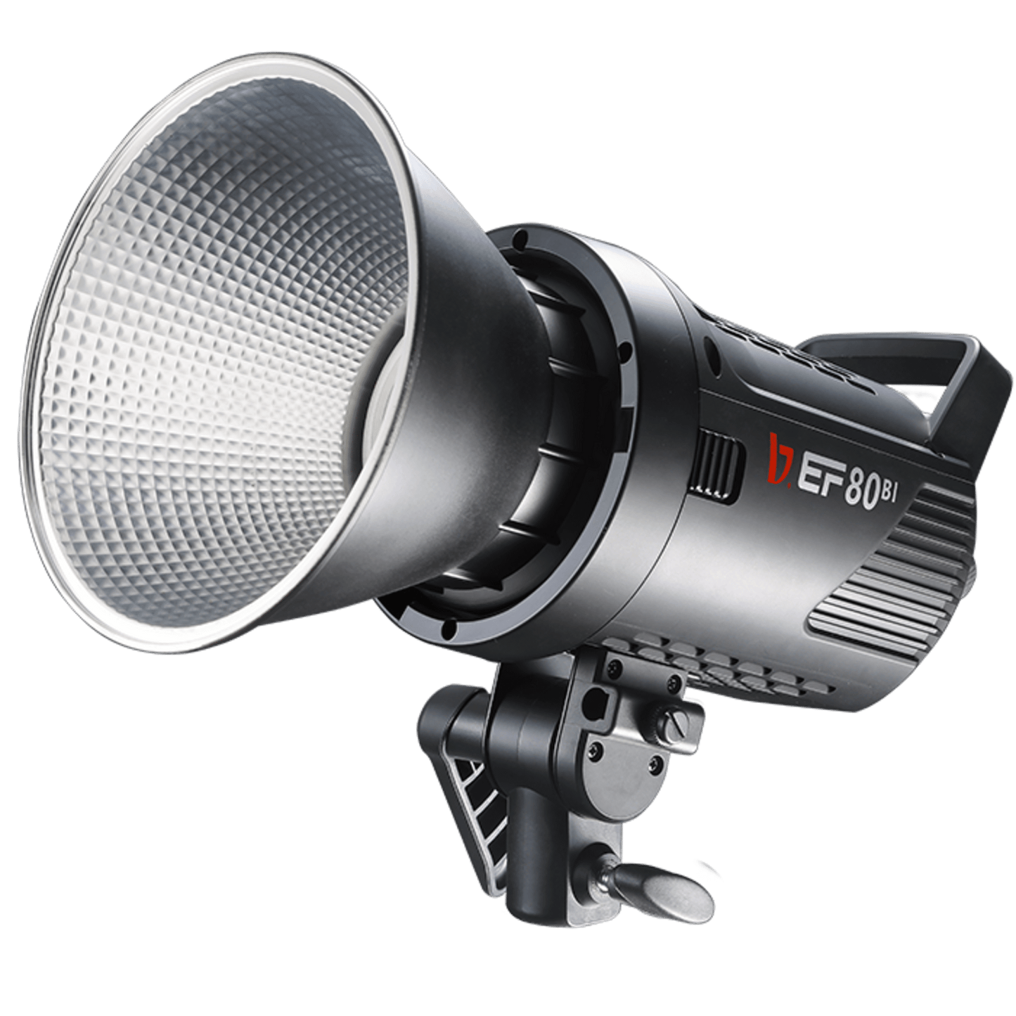 EF-80BI LED Portable Video Light