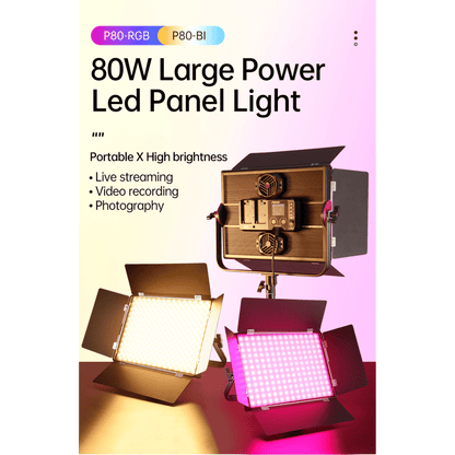 P80BI LED Panel Light